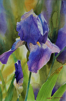 Purple Iris Buds Paintings Art Prints