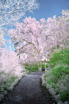 Designs Similar to Magnolia Gazebo  by Jon Glaser