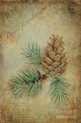 Pinus Ponderosa Art