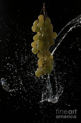  Photograph - Splashed Grapes by Leonardo Fanini