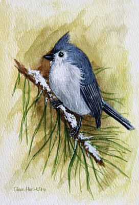 Titmouse Paintings