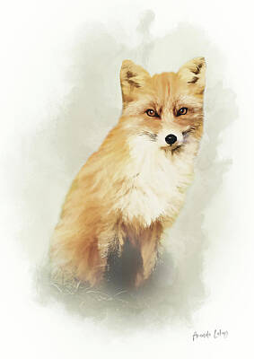 Designs Similar to Woodland Fox Portrait