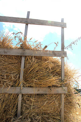  Photograph - Ready for Threshing by Valerie Kirkwood