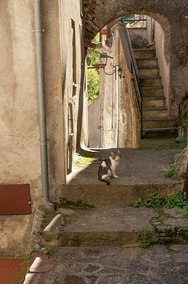  Photograph - Pictoresque in Calabria village by Flavio Massari
