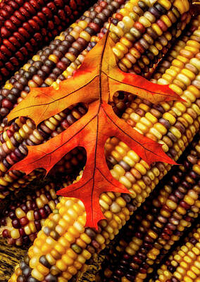 Designs Similar to Autumn Leaf On Indian Corn