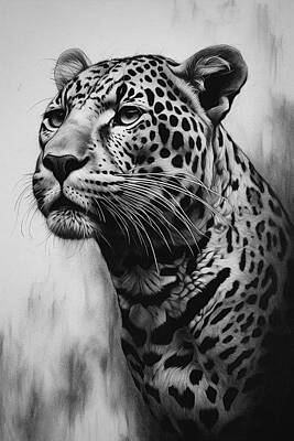 Panthera Onca Drawings