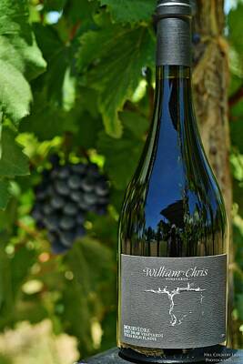  Photograph - Mourvedre William Chris Vineyards by Miguel Lecuona