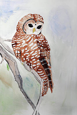 Northern Spotted Owls Art Prints
