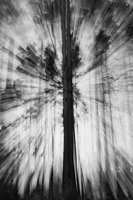  Photograph - Rays of Wood by Julia Chodor