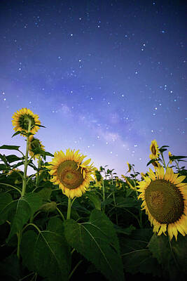  Photograph - Starlight Glimmer  by KC Hulsman