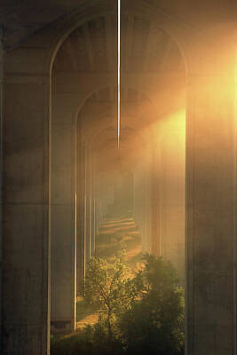  Photograph - The Corridor by Rob Blair