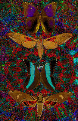 Butterfly Effect Digital Art Original Artwork