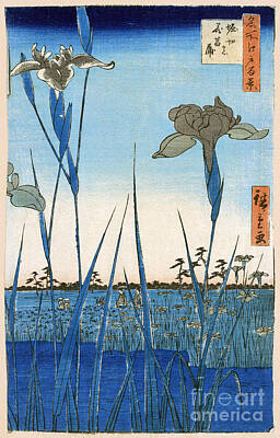 Ando Hiroshige Photos