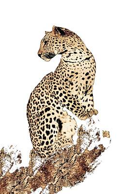 Designs Similar to American Leopard