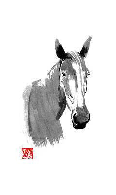 Horse Head Drawings