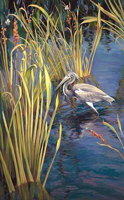 Tricolored Heron Paintings