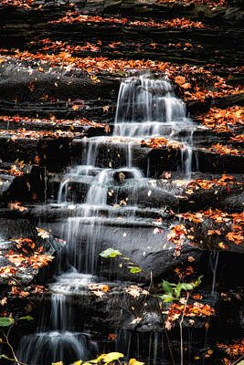 Designs Similar to Brandywine Falls in Autumn