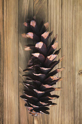 Designs Similar to Pine Cone I by Tom Mc Nemar