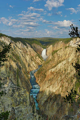  Photograph - Yellowstone Falls in the Grand Canyon of the Yellowstone by Don Johnston