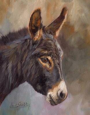 Donkey Foal Art Prints