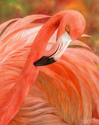 Designs Similar to Flamingo - Spirit Of Balance
