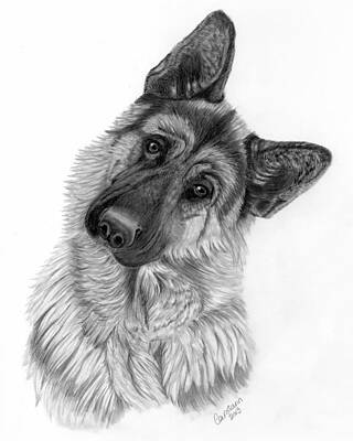 Designs Similar to German Shepherd by Carol Doran