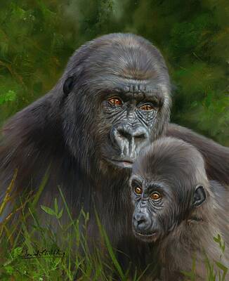 Lowland Gorilla Paintings