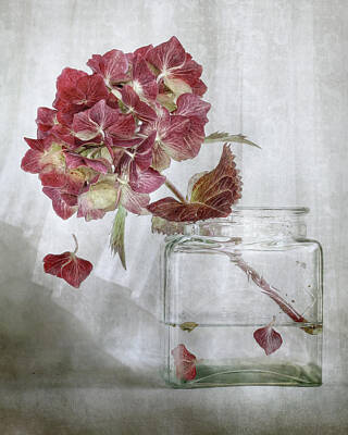 Designs Similar to Hydrangea by Mandy Disher