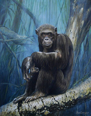 Monkey Jungle Paintings | Pixels