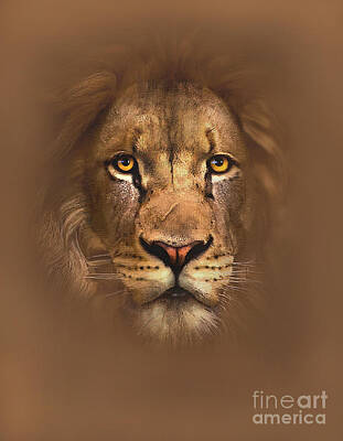 Narnia - Aslan Art Print for Sale by kixbaxrelax