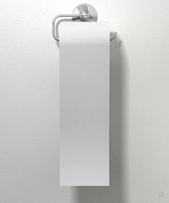Designs Similar to Toilet Roll On Chrome Hanger