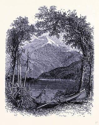 Lake Placid Drawings