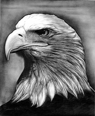 Designs Similar to Eagle by Jerry Winick