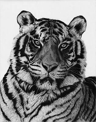 Carbon Zoo Animals Art Prints