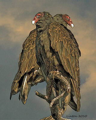 Turkey Vultures Digital Art