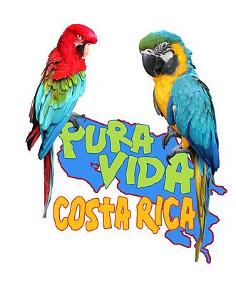  Digital Art - Costa Rican Macaws by Linda Bissett