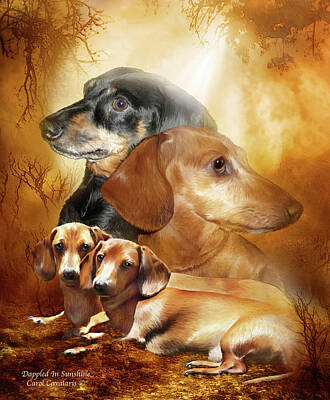 Designs Similar to Doxies - Dappled In Sunshine