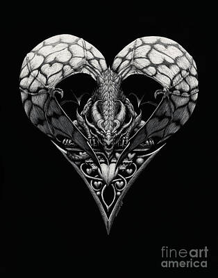 Dragon Heart Drawings