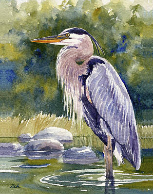  Painting - Great Blue Heron in a Stream by Janet Zeh