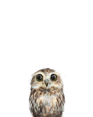 Owls Wall Art