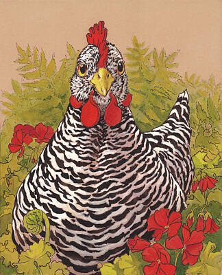 Plymouth Rock Chicken Art Prints