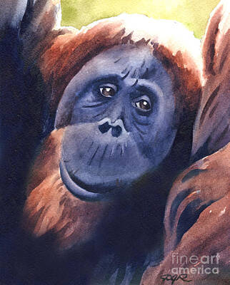 Great Apes Art Prints
