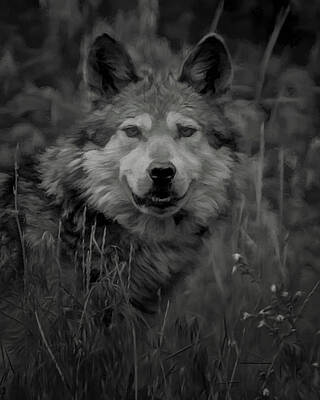 Designs Similar to The Wolf BW by Ernest Echols