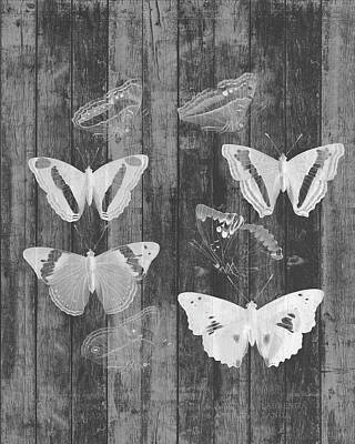 Designs Similar to Rustic Butterfly Chart I #1