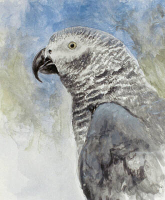 Parrot Head Art Prints