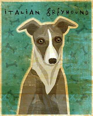 Italian Greyhounds Digital Art