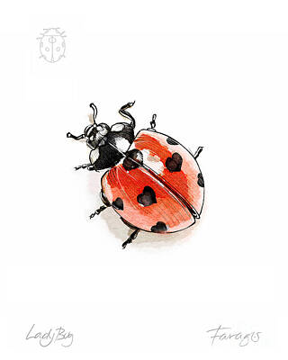 Ladybug monochrome sketch outline white vector illustration. Ladybug  monochrome sketch outline insect with wings having | CanStock