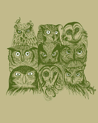 Owls Head Digital Art
