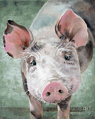 Designs Similar to Olive, Pig Portrait
