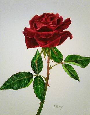  Painting - Red Rose by Melissa Joyfully